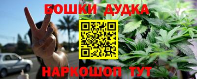 СК Боровичи