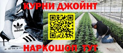 СК Боровичи