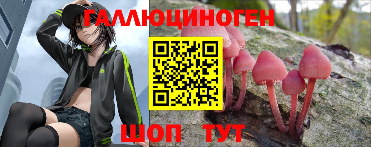 Псилоцибиновые грибы Cubensis Белогорск