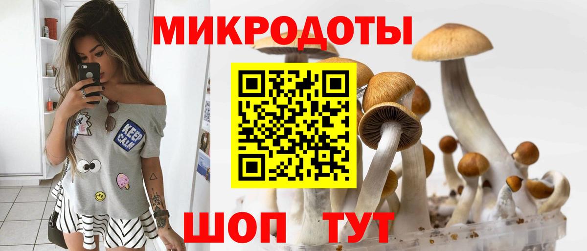 Белогорск  Галлюциногенные грибы Cubensis  Вход с VPN 